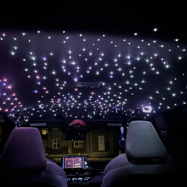 Starlight headliner detailed by LA's Auto Detailing