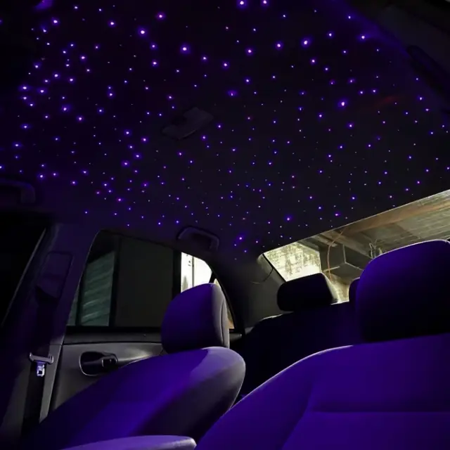 Starlight headliner in purple detailed by LA's Auto Detailing