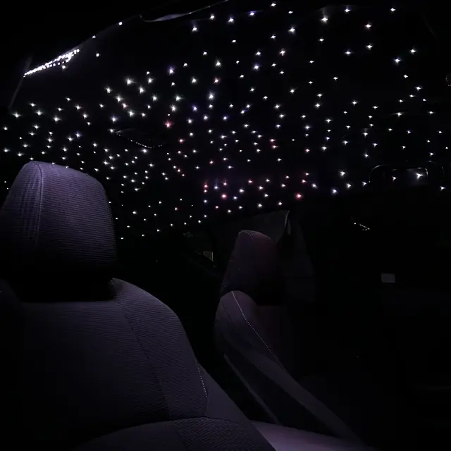 Starlight headliner over the front seats detailed by LA's Auto Detailing