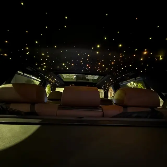 Starlight headliner over three rows detailed by LA's Auto Detailing